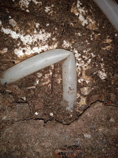 隆子堵点精准查找